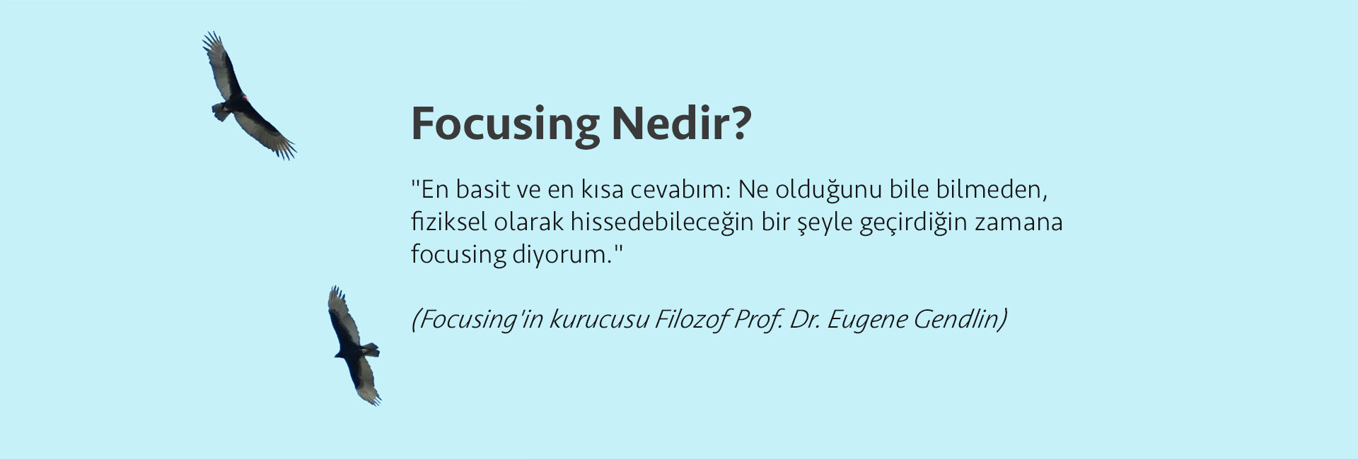 Focusing Nedir?